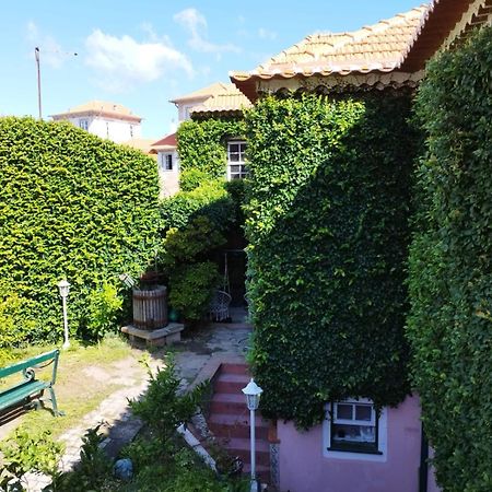 Sea Villa Rosa Charm Seaside And Garden OOporto Exteriör bild